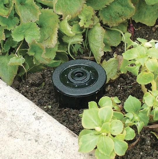 Key Sprinkler Hider